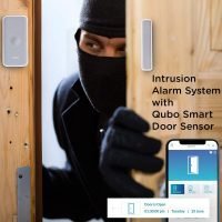 Qubo Intrusion Detection System