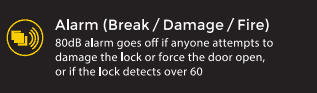 Yale - Alarm Feature